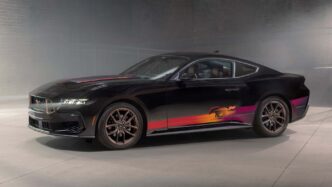 Mustang EcoBoost TLD