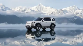 Freelander 8